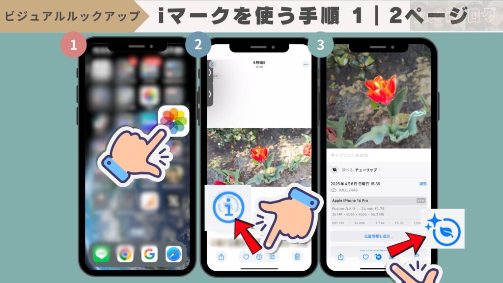 iPhoneの『ビジュアルルックアップ機能』とは?できない時の対処法 %E3%81%B5%E3%81%81%EF%BD%86%EF%BD%86 1024x576 - iPhoneの『ビジュアルルックアップ機能』とは?できない時の対処法
