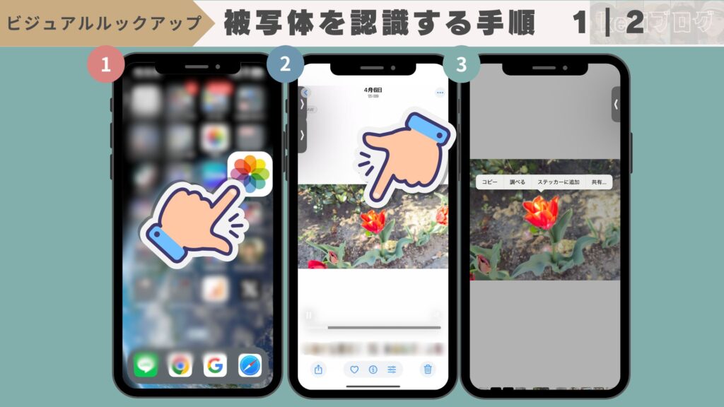 iPhoneの『ビジュアルルックアップ機能』とは?できない時の対処法 %E8%A2%AB%E5%86%99%E4%BD%93%E3%82%92%E8%AA%8D%E8%AD%98%E3%81%99%E3%82%8B%E6%89%8B%E9%A0%86%E2%91%A0 1024x576 - iPhoneの『ビジュアルルックアップ機能』とは?できない時の対処法