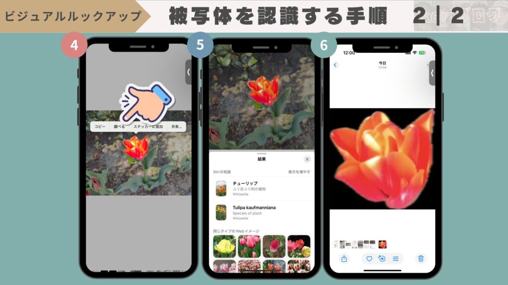 iPhoneの『ビジュアルルックアップ機能』とは?できない時の対処法 %E8%A2%AB%E5%86%99%E4%BD%93%E3%82%92%E8%AA%8D%E8%AD%98%E3%81%99%E3%82%8B%E6%89%8B%E9%A0%86 1%EF%BD%9C2 1024x576 - iPhoneの『ビジュアルルックアップ機能』とは?できない時の対処法