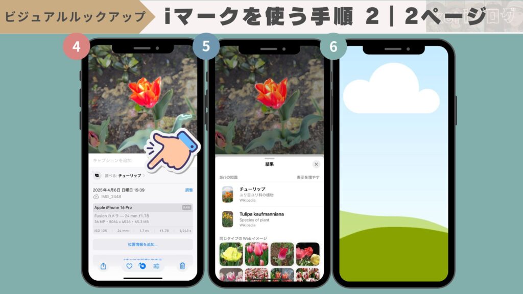 iPhoneの『ビジュアルルックアップ機能』とは?できない時の対処法 folc87 1024x576 - iPhoneの『ビジュアルルックアップ機能』とは?できない時の対処法