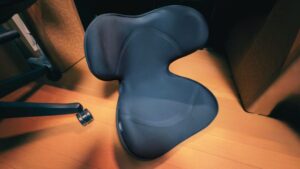 【ギネス記録】世界と日本の最長寿犬|ブルーイとプースケの驚きの生涯と長生きの秘訣 スタイルスマート 300x169 - 【ギネス記録】世界と日本の最長寿犬|ブルーイとプースケの驚きの生涯と長生きの秘訣